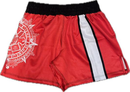 Aztec FC Training Shorts