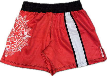 Aztec FC Training Shorts